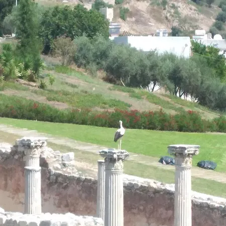 Апартаменты Ephesus Castle View *