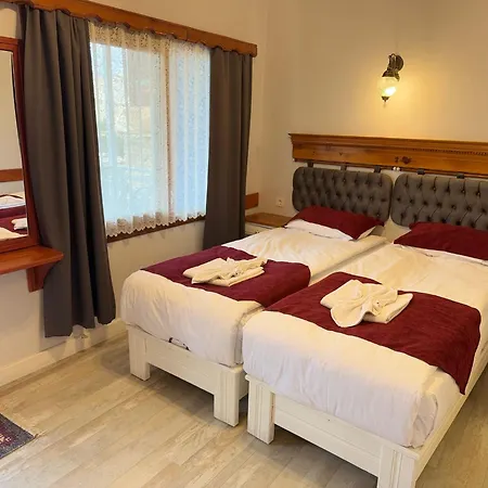 Ephesus Castle View *