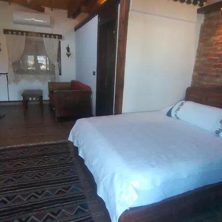 Ephesus Castle View * Selcuk