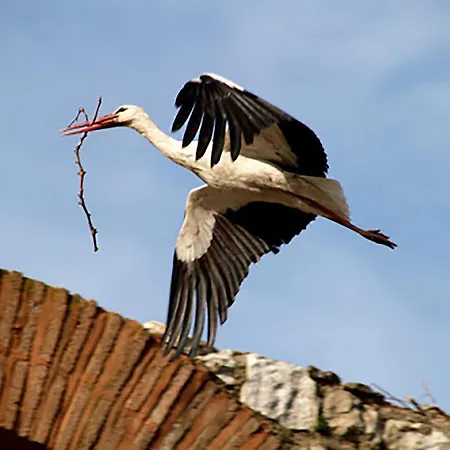 Ephesus Castle View * Selcuk